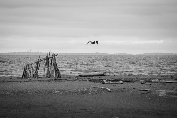 WhidbeyIsland20130614-4